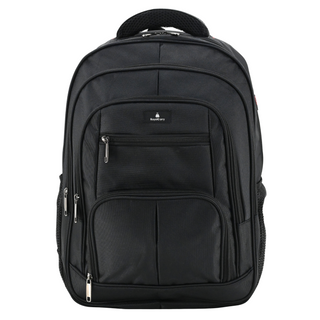 Royal Laptop Backpack RC-029 (Black)